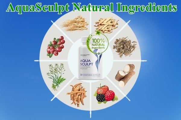 AquaSculpt Ingredients
